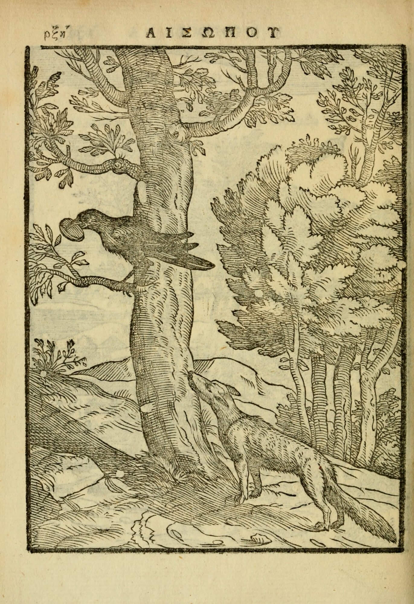 A woodcut illustrating Aesop's fable of the fox and the crow, which in this book is printed to face the illustration (you can see the text here).