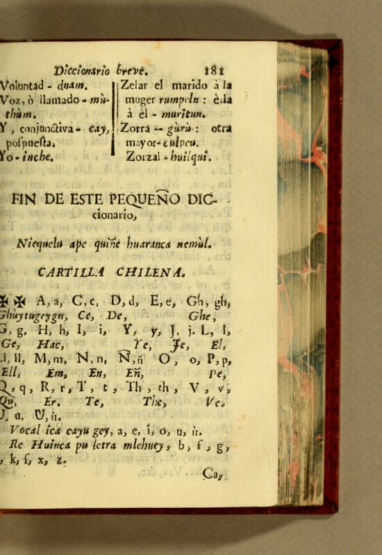 This page is from a textbook teaching Spanish speakers the Mapuche language, spoken by the Mapuche people of present-day Chile and Argentina. It showcases how type works to transliterate phonemes from a non-Romance language into a Latin alphabet. It is interesting to compare the tildes on the Ñs in the text to the contemporary variety. The book seems to be tightly bound, based on the close cropping on the left side of the image.