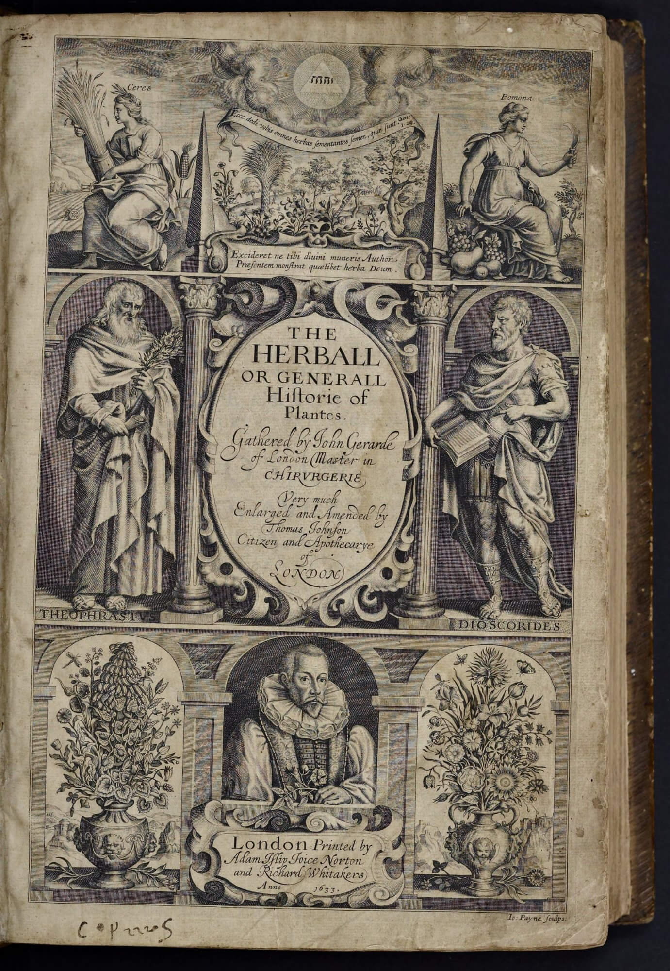 This engraved title page, with portraits not only of the author but of classical figures and with architectural structures providing an edifice tying the details together, strives to create an imposing authority for this herbal.