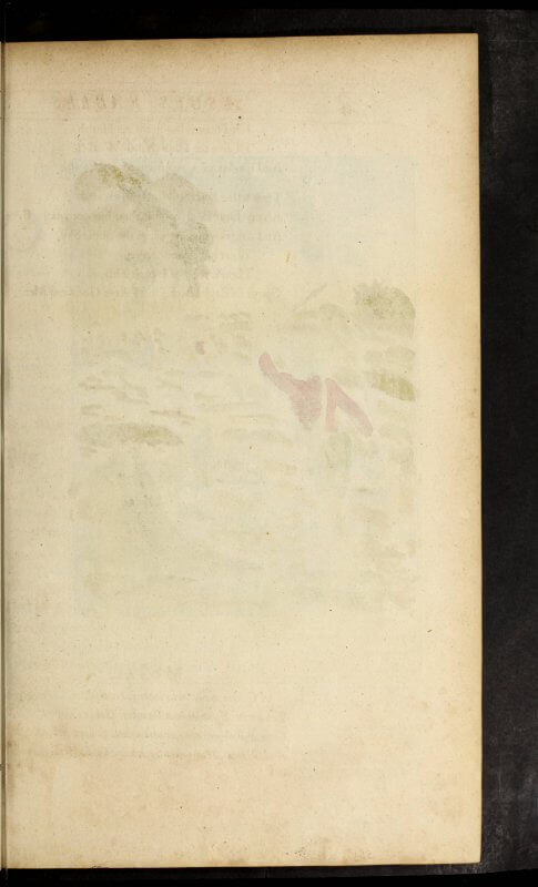 The blank verso of the leaf of a hand-colored intaglio print shows where some of the inks have bleed through.